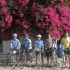 Crete 2009 Bougainvilla