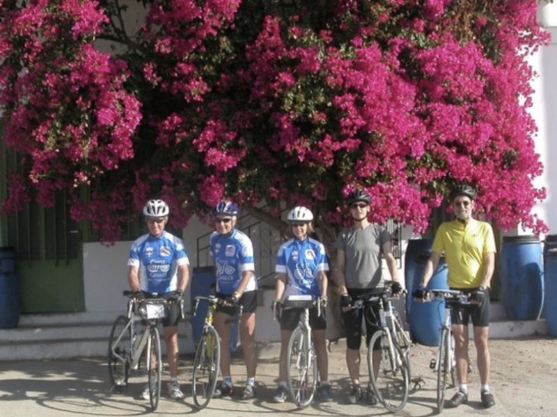 Crete 2009 Bougainvilla