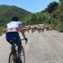 Crete Sheep