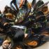 mussels