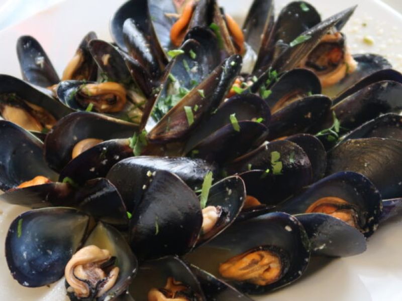mussels