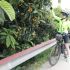rural cycling