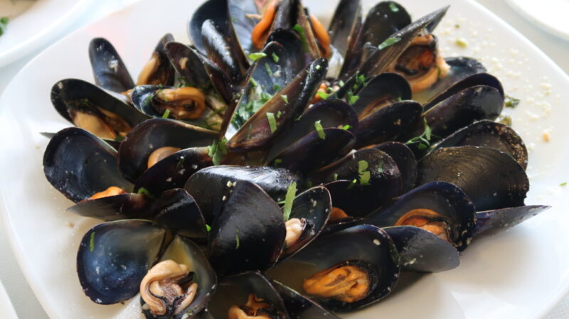 mussels